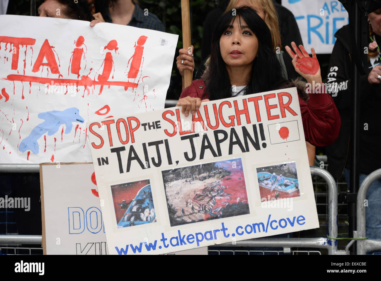 Londra, Regno Unito. Il 1° settembre 2014. Animali attivisti di destra protestare contro il Giappone brutalmente uccisione di Taiji delfini al di fuori del Giappone Ambasciata a Londra. Chiamata a una estremità della macellazione di 20.000 i delfini e le balene di piccole dimensioni ogni anno nel Taiji. Credito: Vedere Li/Alamy Live News Foto Stock