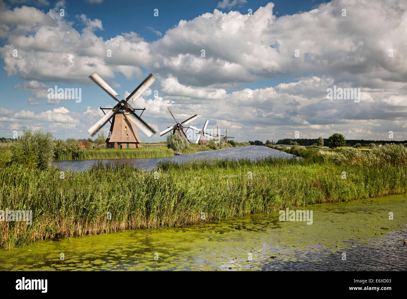 Paesi Bassi, Kinderdijk, mulini a vento Alblasserwaard polder, Patrimonio Mondiale dell Unesco Foto Stock