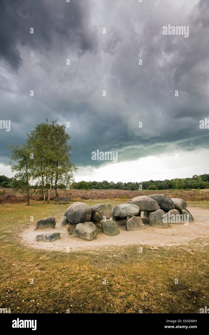 Paesi Bassi, Havelte, brughiera chiamato Holtingerveld Heide. Tomba megalitica chiamato Hunebed. Numero Havelterberg 54 Foto Stock