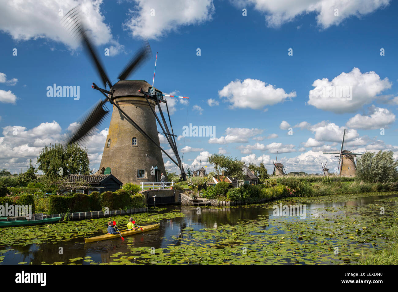 Paesi Bassi, Kinderdijk, mulini a vento Alblasserwaard polder, sito Patrimonio Mondiale dell'Unesco. Kayak Foto Stock