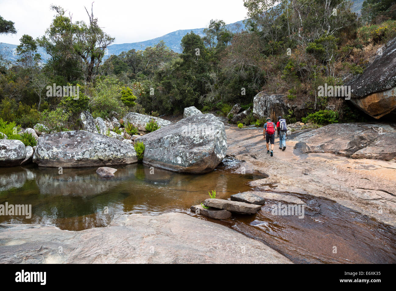 Gli escursionisti in Andringitra Mountain Range, Andringitra National Park, Sud del Madagascar, Africa Foto Stock