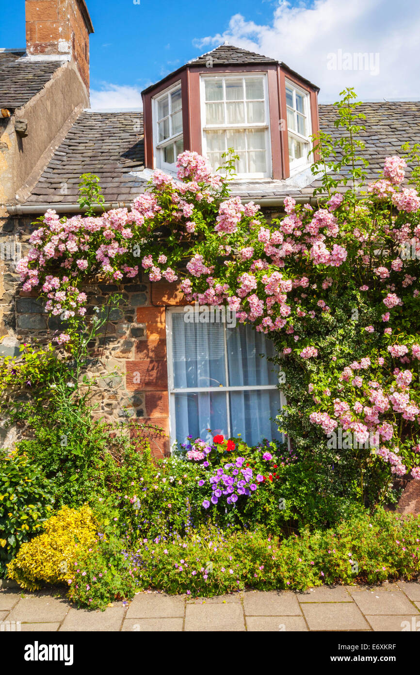 Cottage in pietra con finestra e rose rampicanti Foto Stock