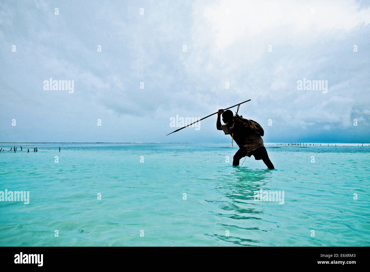 Un pescatore con un arpione in acque poco profonde vicino alla costa di Zanzibar, Tanzania Africa Foto Stock