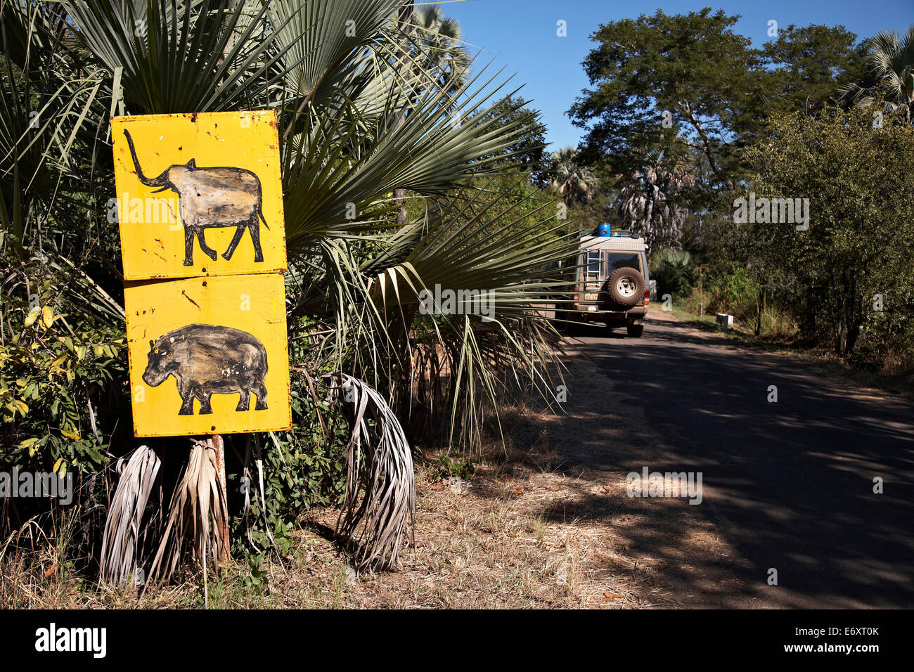 Segni di origine animale accanto a una strada, Livingstone, sud della provincia, Zambia Foto Stock