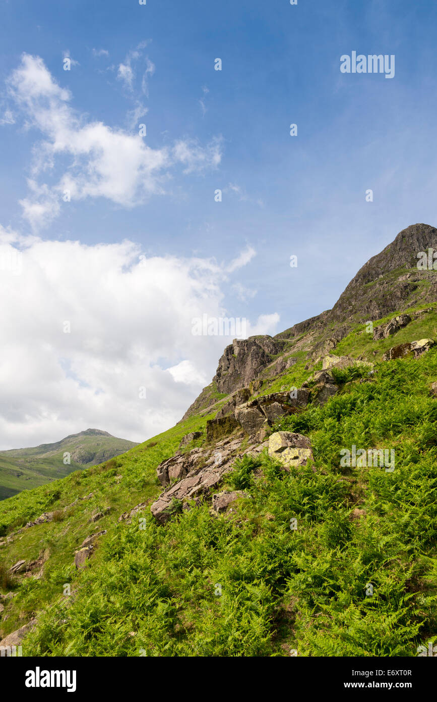 Yew Barrow, Wasdale, Parco Nazionale del Distretto dei Laghi, Cumbria, Inghilterra, Regno Unito. Foto Stock