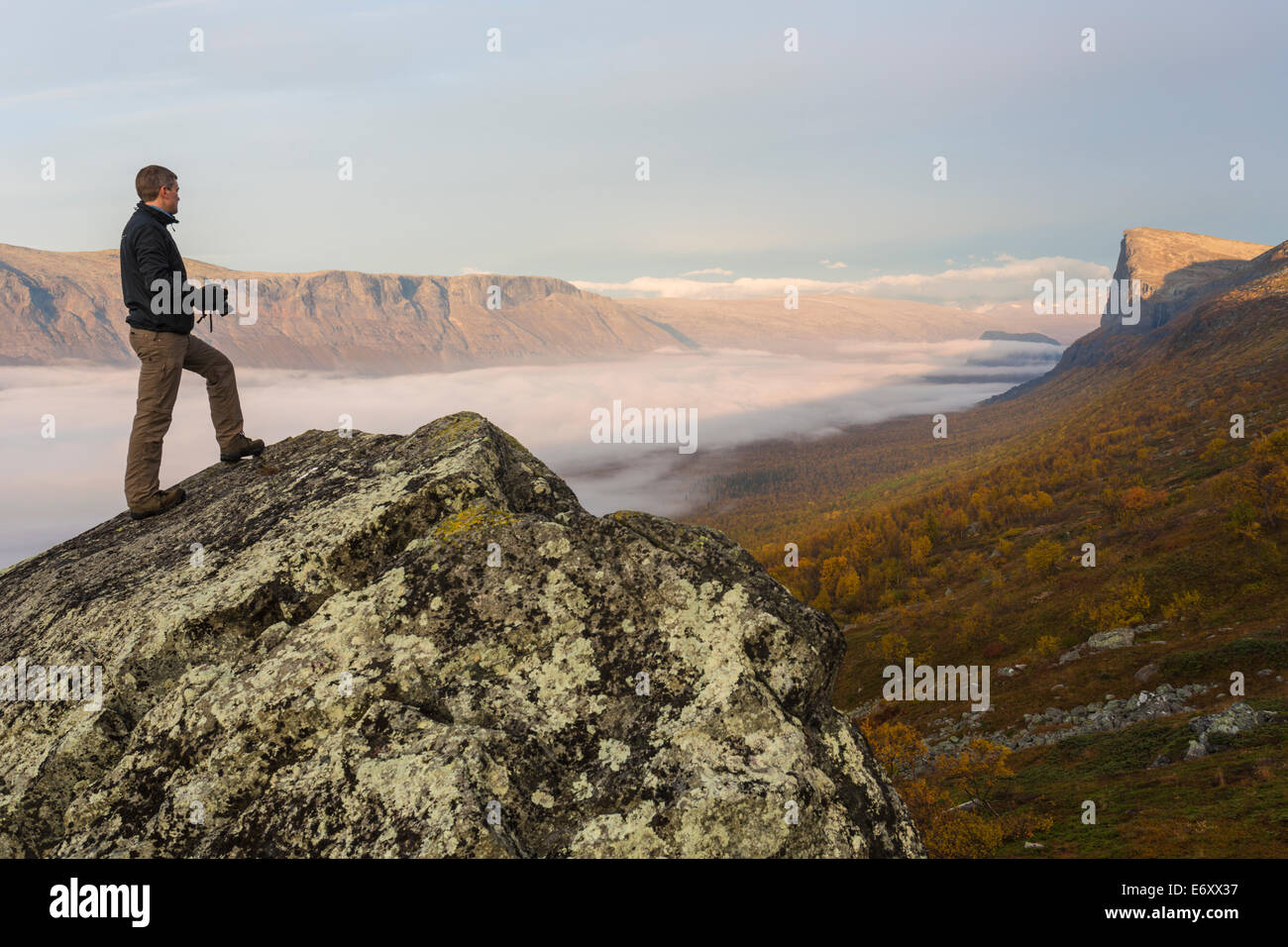 L'uomo, 35-40 anni, guardando la vista su Sarek national park in piedi su una roccia nel bel mattino luce antinebbia con la posa di oltre Foto Stock