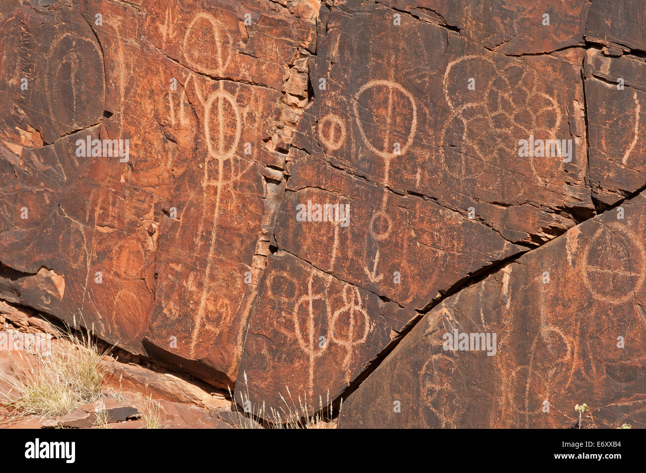 Incisioni rupestri aborigene nelle camere Gorge, Flinders Ranges, South Australia, Australia Foto Stock