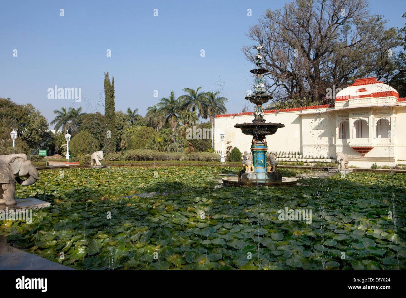 Lotus Pond nel giardino di Saheliyon-ki-Bari, Udaipur, Rajasthan, India Foto Stock