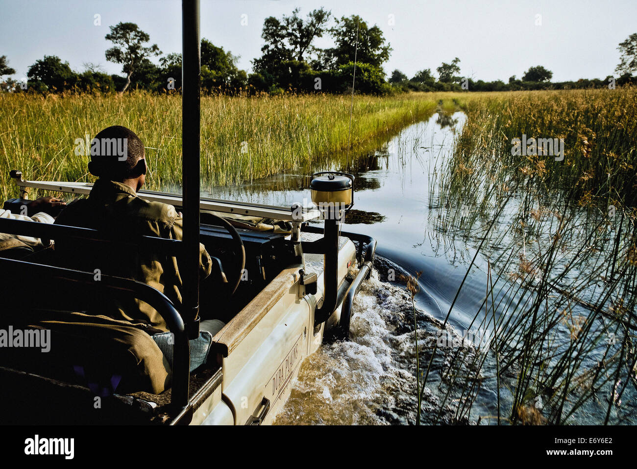 Game Drive su Duba Isola, Okavango Delta, Botswana, Africa Foto Stock