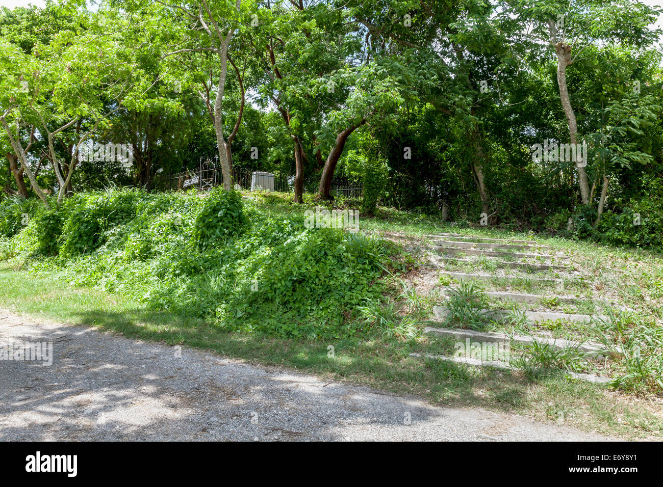 Boscoso cimitero privato appezzamento accoccolato su un piccolo aumento protegge le tombe contro le acque di esondazione in Everglades City, Florida USA. Foto Stock