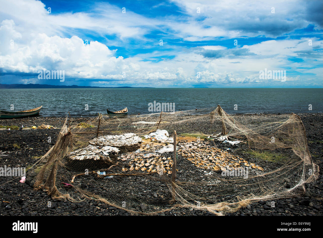 Essiccazione fino il pesce sulla riva del lago Turkana. Foto Stock