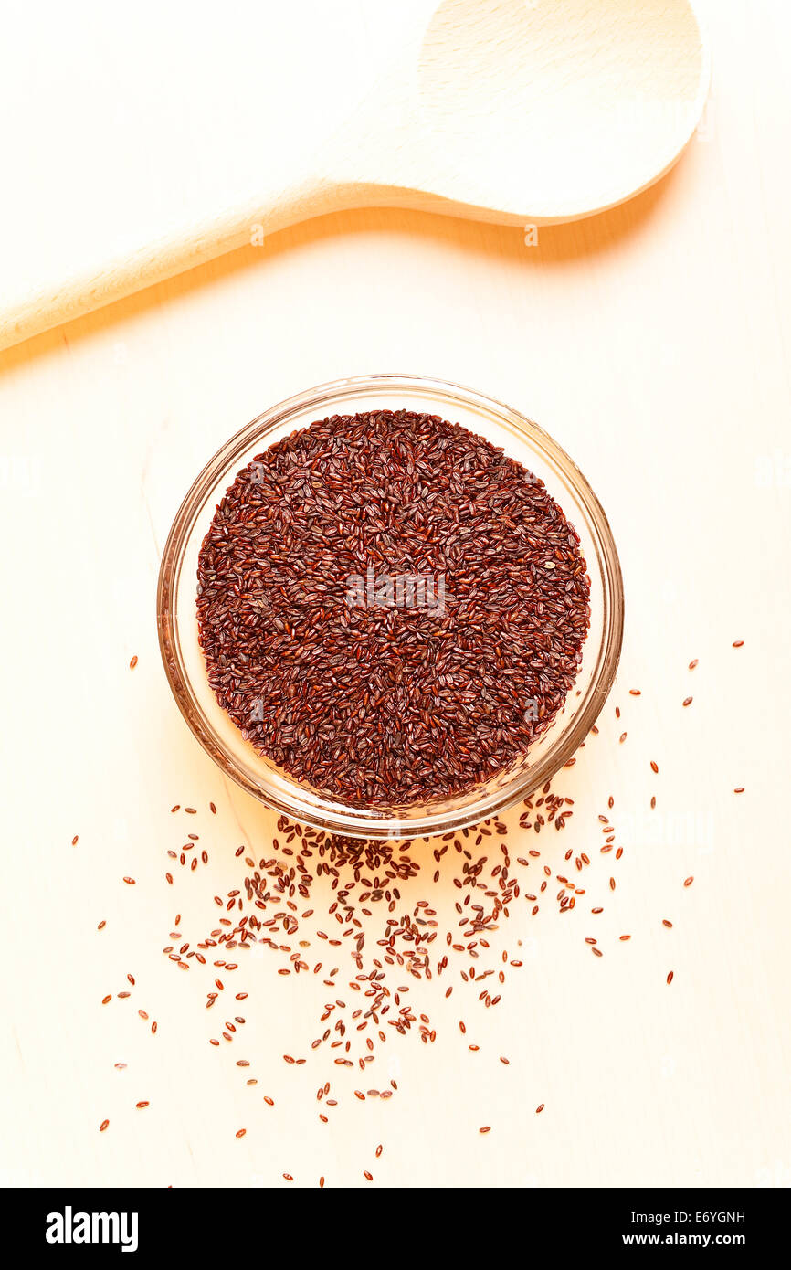 Seme dello Psyllium Foto Stock