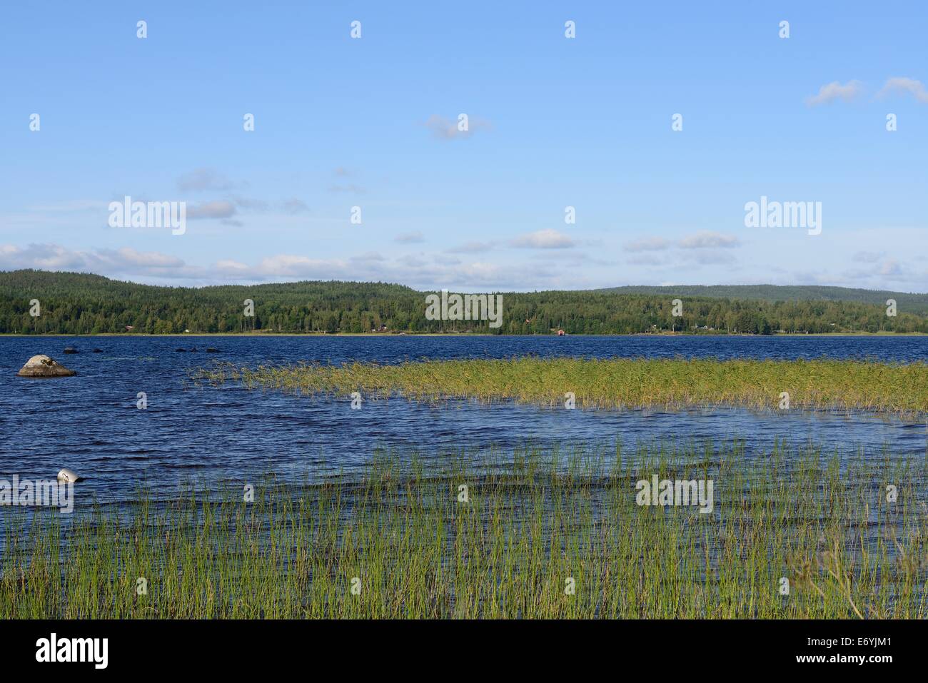 Un bellissimo lago in Svezia lungo la Hoga Kusten Foto Stock