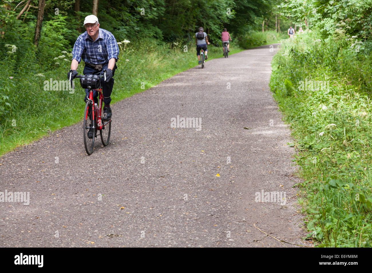 Campagna percorso ciclo. Ciclista sulla Monsal Trail nel Derbyshire, Parco Nazionale di Peak District, England, Regno Unito Foto Stock