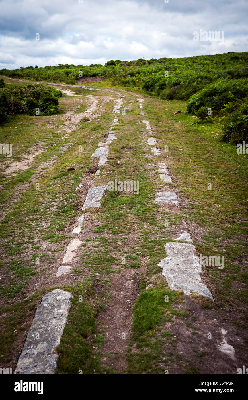 Granito binari tranviari a Haytor cava nel Parco Nazionale di Dartmoor, Devon, Regno Unito Foto Stock