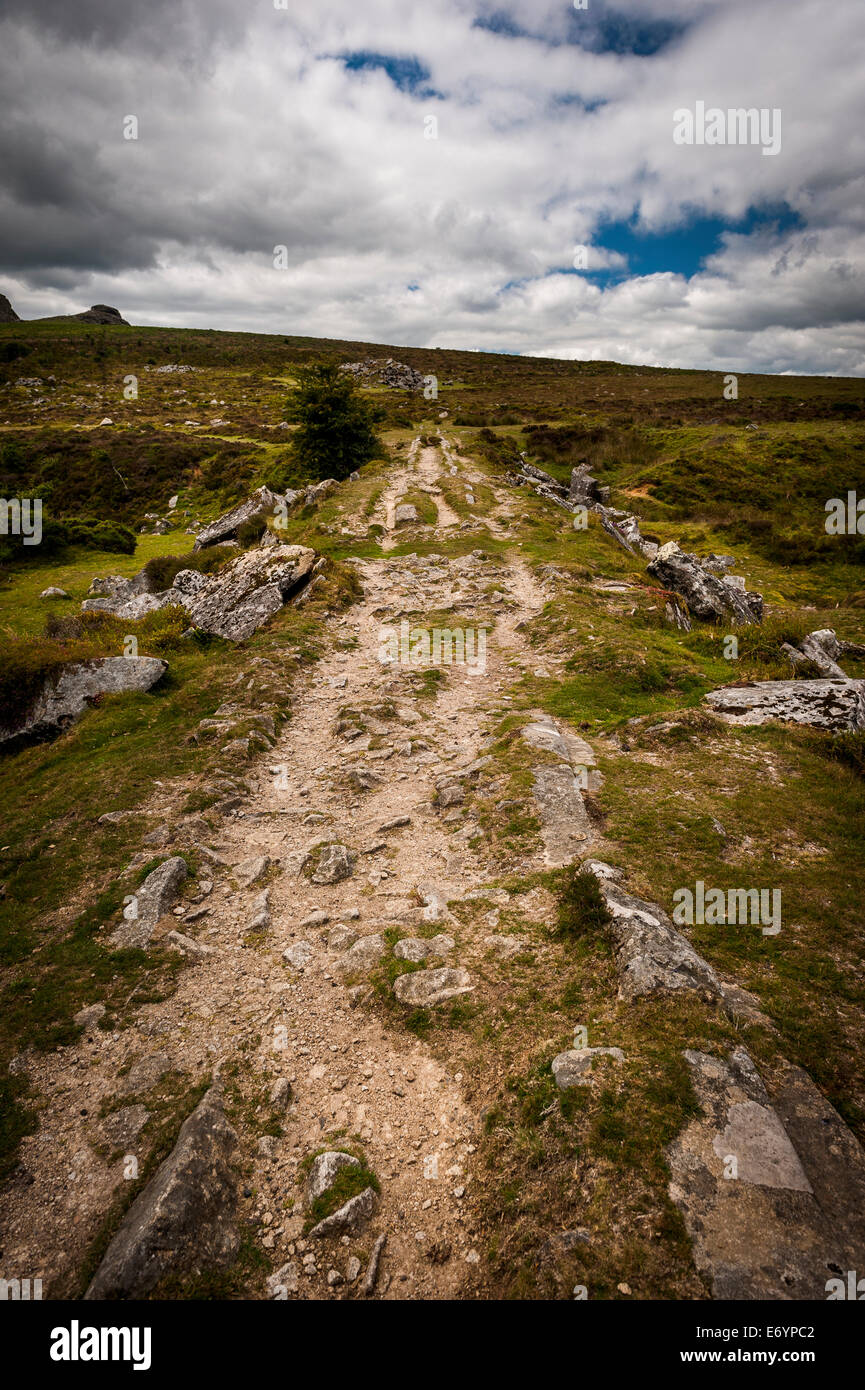 Granito binari tranviari a Haytor cava nel Parco Nazionale di Dartmoor, Devon, Regno Unito Foto Stock