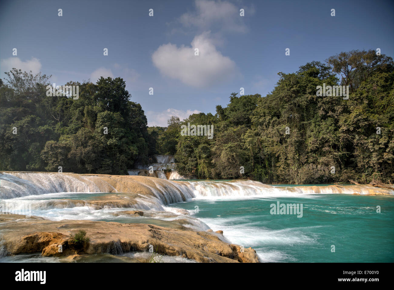 Messico, Chiapas, nei pressi di Palenque, Rio Tulija, Agua Azul de Nacional Parque Foto Stock