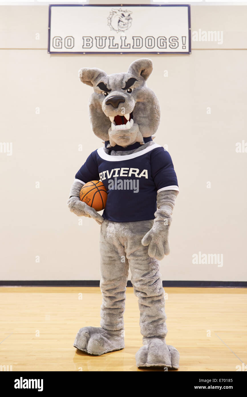 Alta mascotte della scuola per la squadra di basket Foto Stock