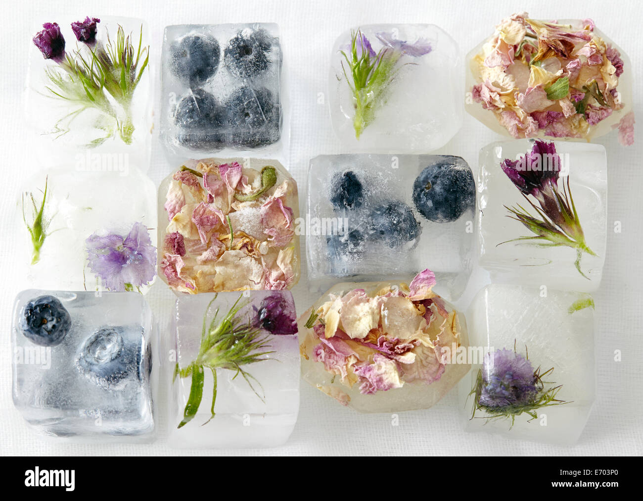 Fiori e frutti congelati in ghiaccio-cubi Foto Stock