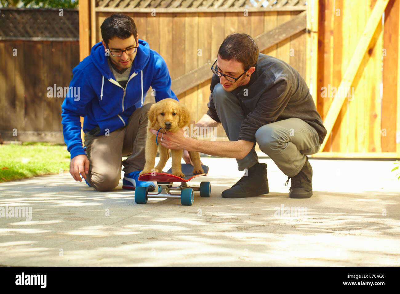 Due giovani uomini aiutando labrador cucciolo su skateboard Foto Stock