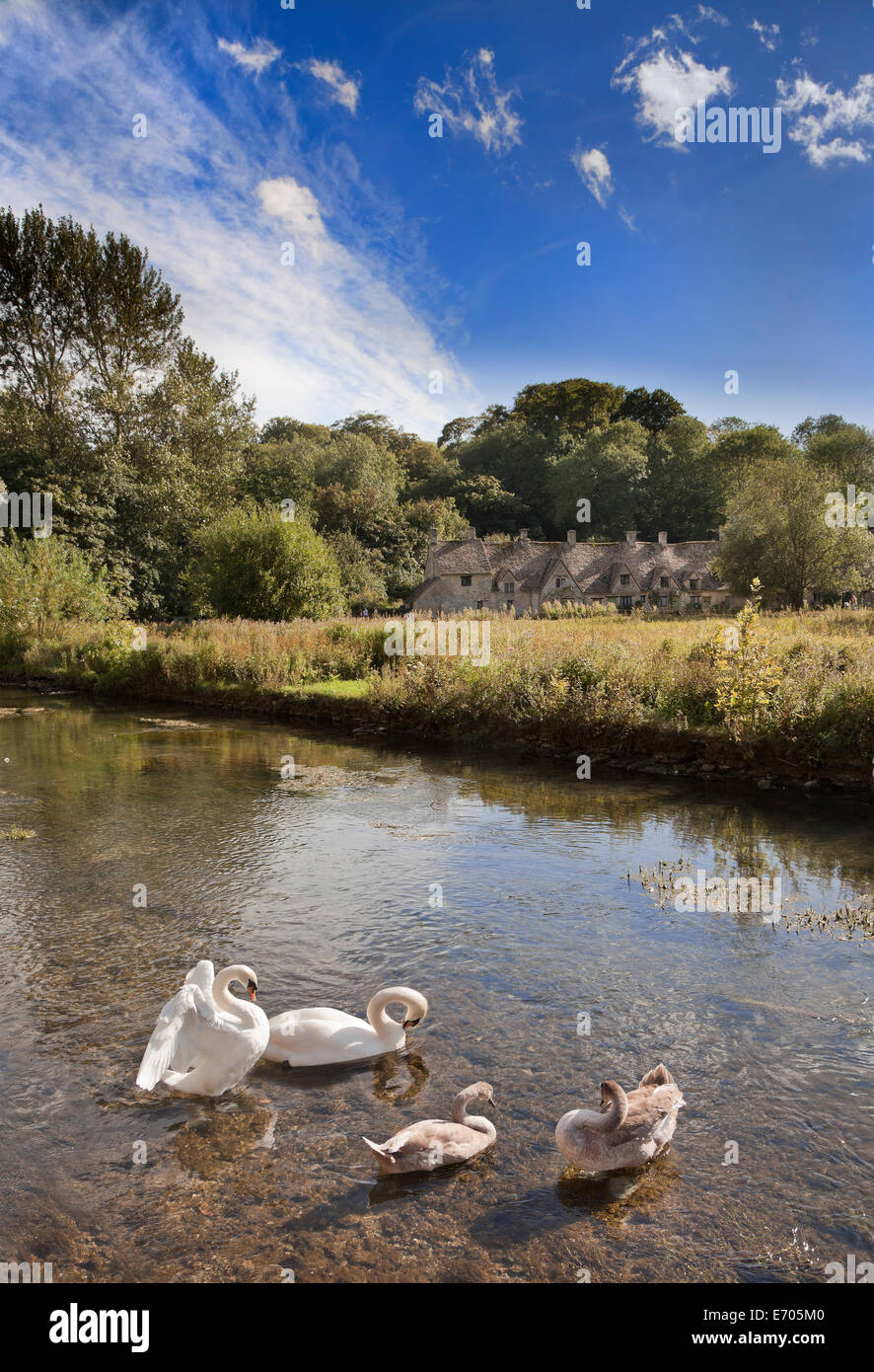 Arlington Row cottages, Bibury, Cotswolds, UK. Con cigni sul Fiume Coln in primo piano Foto Stock