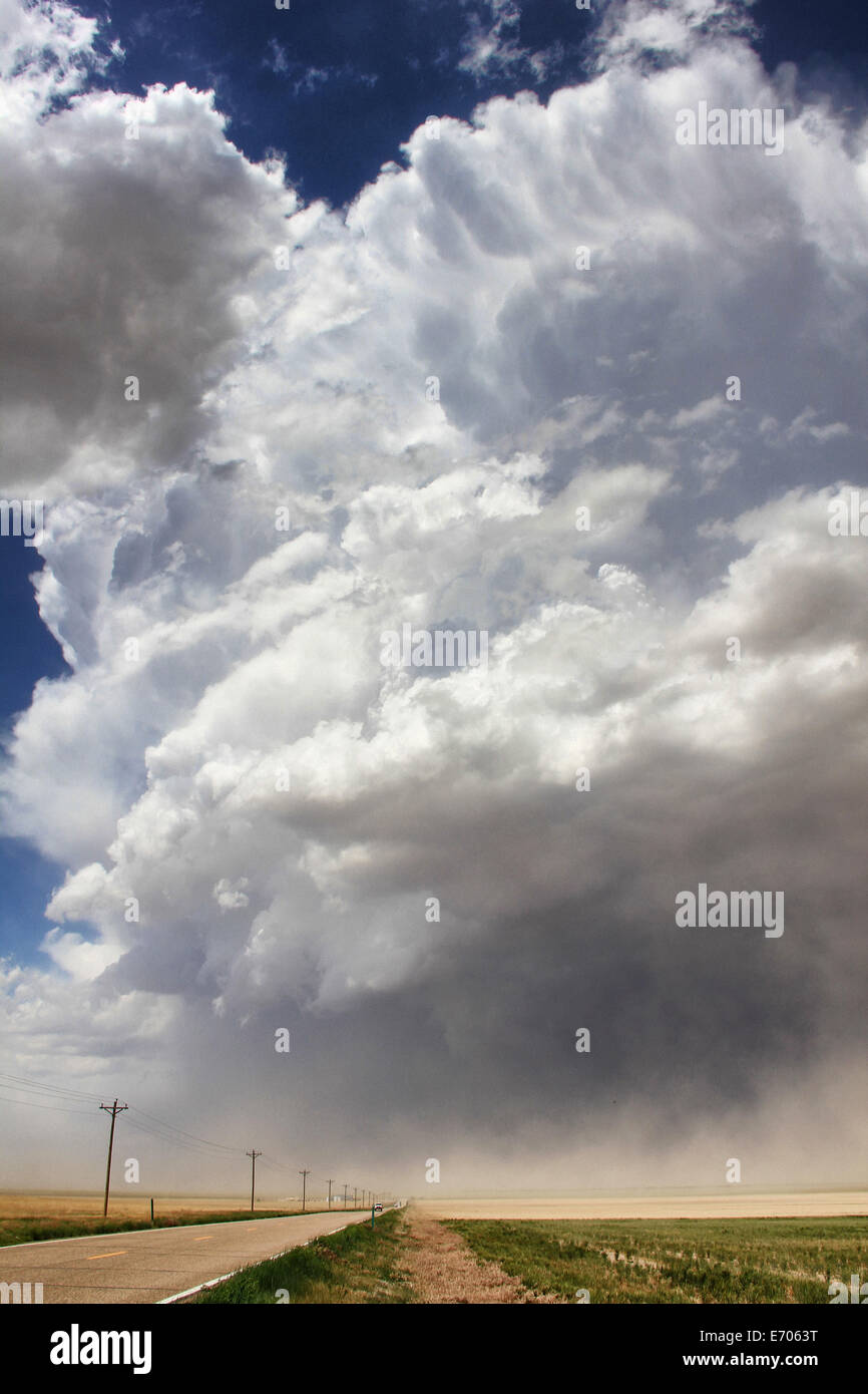 Un massiccio supercell aspira intensa di polvere nella corrente ascensionale che conduce a una violenta tempesta di polvere, Sheridan Lake, Colorado, STATI UNITI D'AMERICA Foto Stock