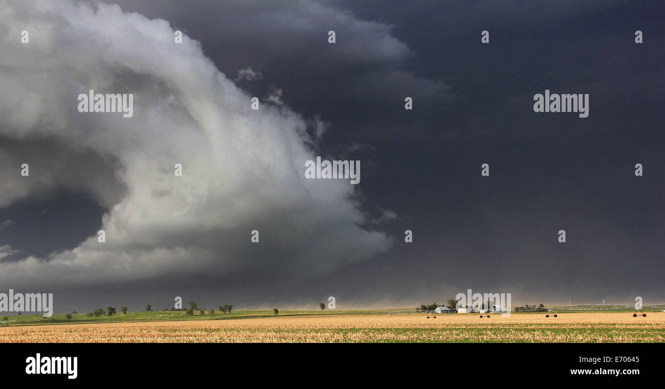 Una drammatica folata spazza anteriore verso il basso sulle colture di questo agriturismo, sollevando la polvere e intensi venti, Lexington, Nebraska, STATI UNITI D'AMERICA Foto Stock