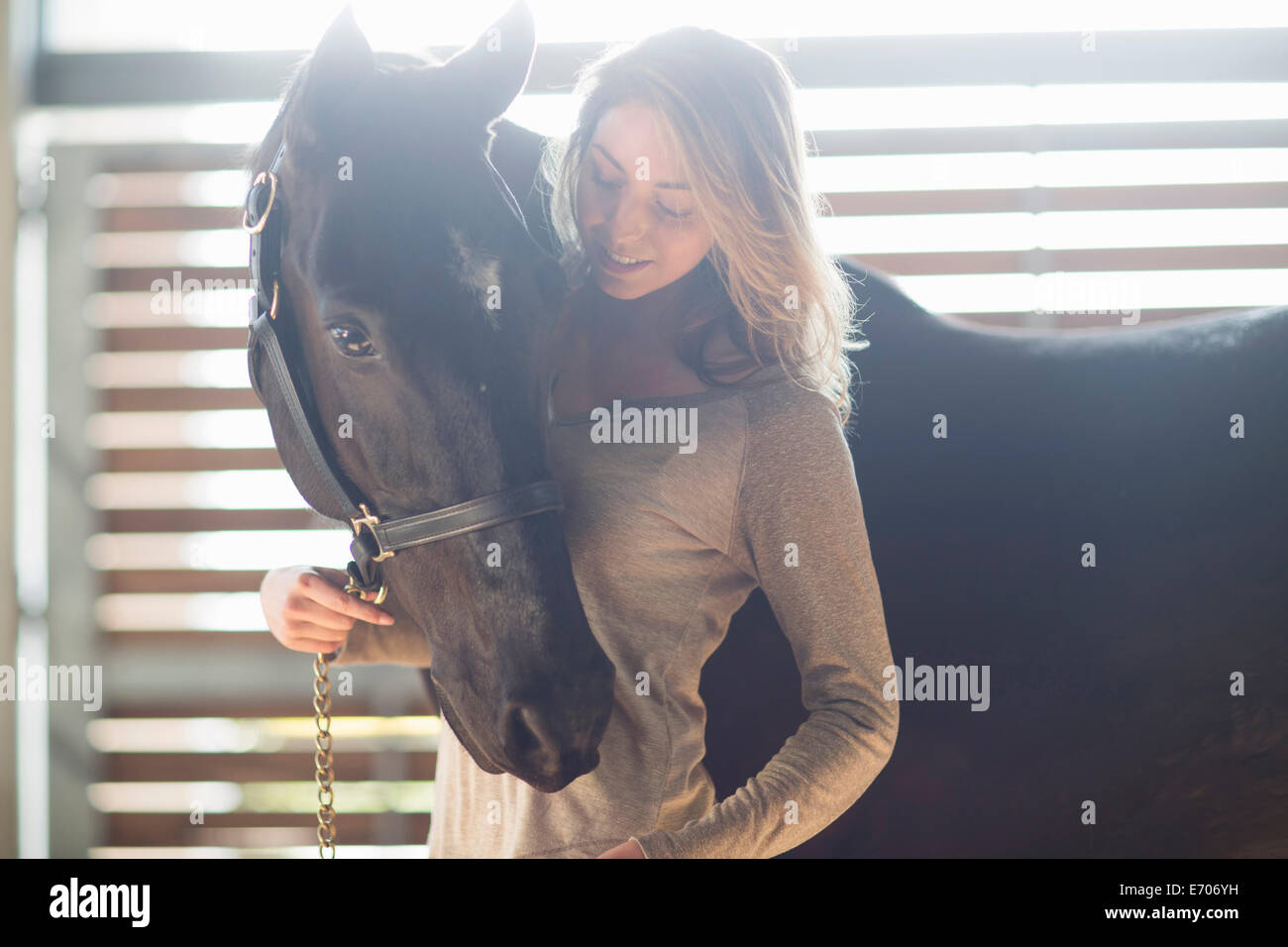 Long groom horse immagini e fotografie stock ad alta risoluzione - Alamy