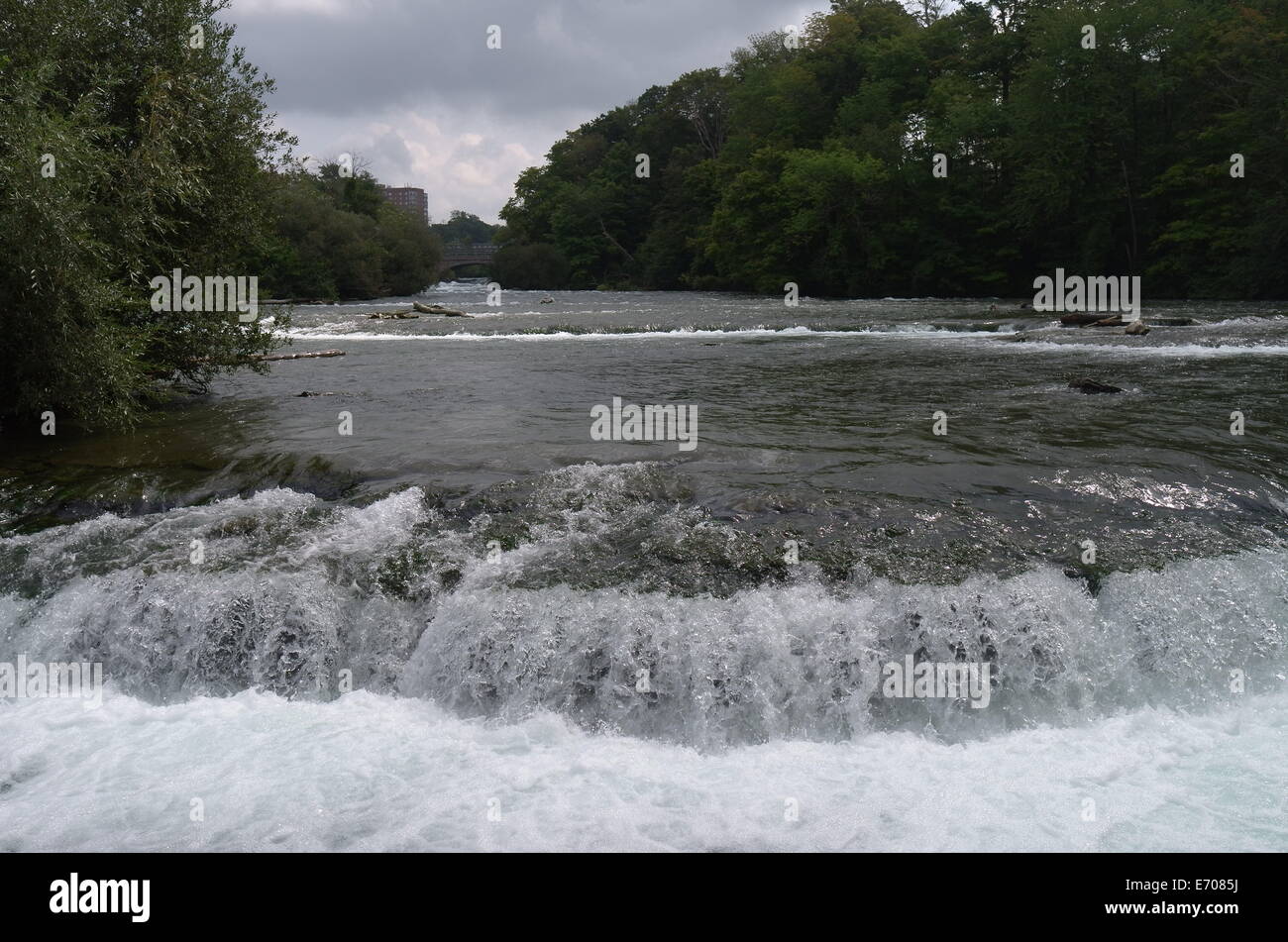 Fiume Niagara, appena prima di entrare le Cascate del Niagara in New York Foto Stock