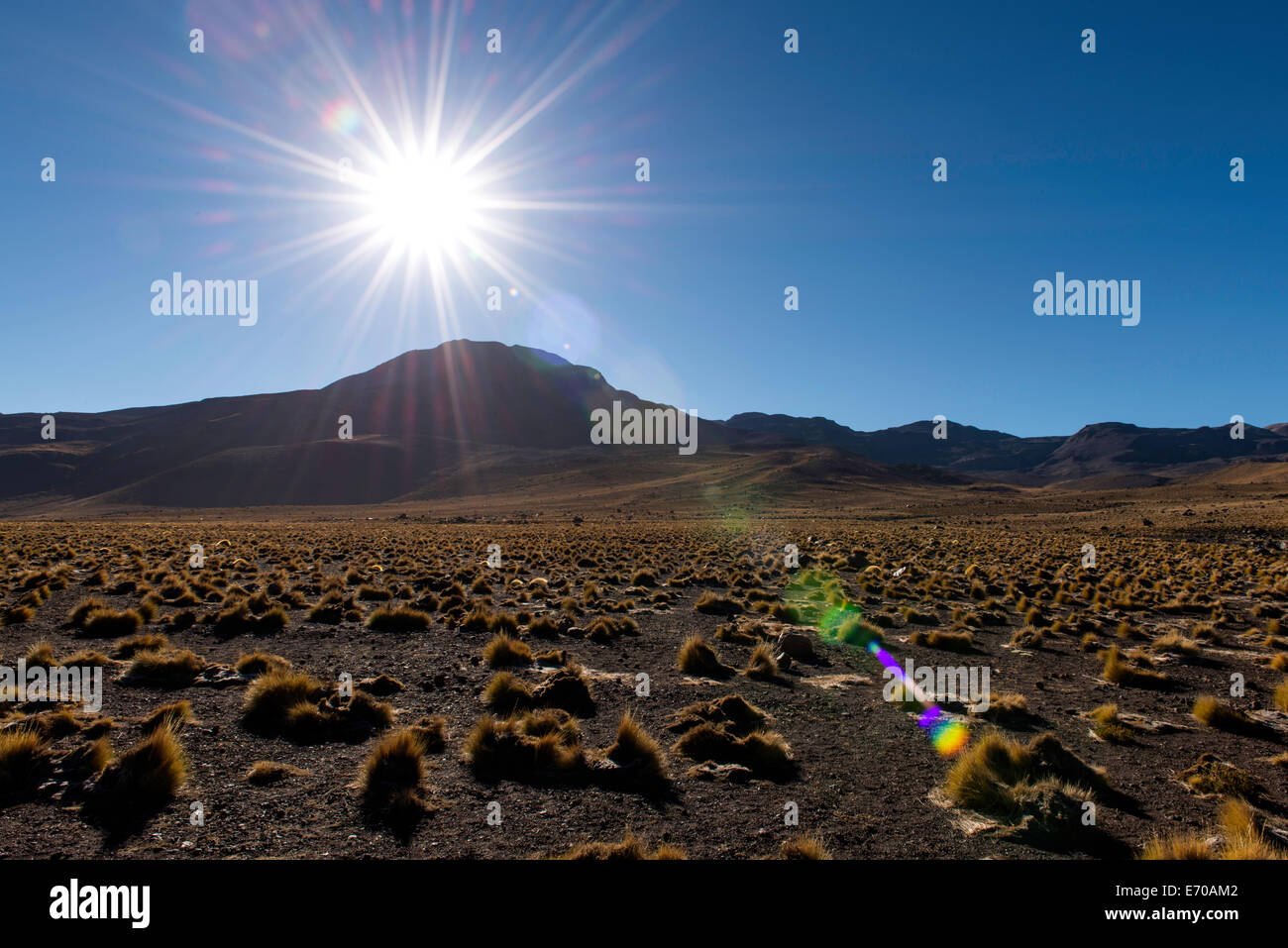 Paesaggio vicino Tatio geyser campi geotermici San Pedro de Atacama cile america del sud Foto Stock