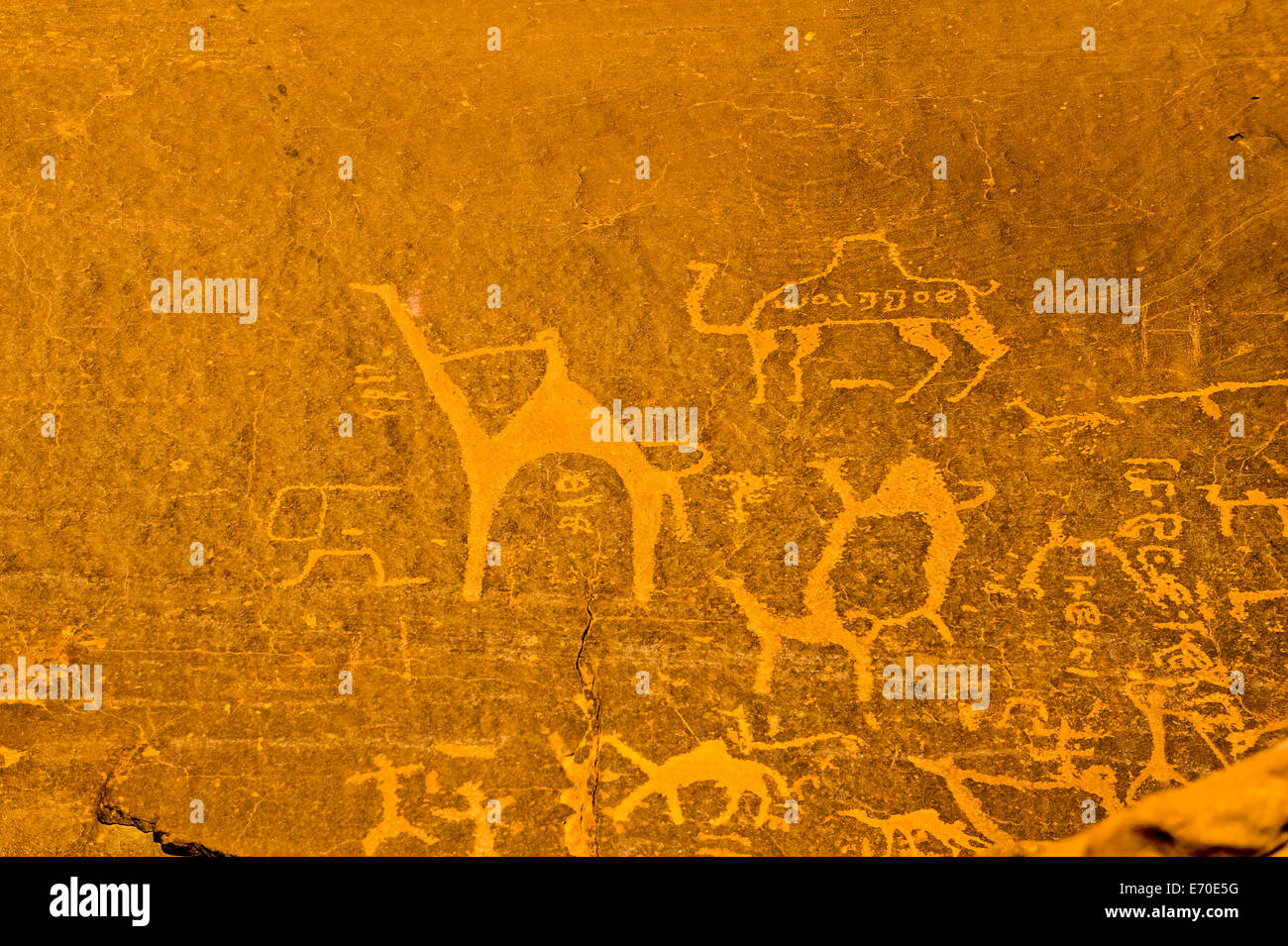 La Giordania. Il Wadi Rum è anche conosciuta come la Valle della Luna. Antiche incisioni rupestri su una roccia. Foto Stock