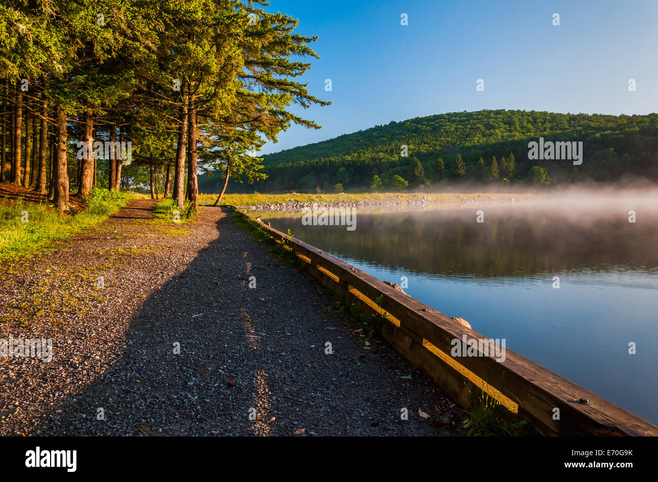 La luce del mattino e la nebbia sulla manopola di abete rosso Lago, Monongahela National Forest, West Virginia. Foto Stock