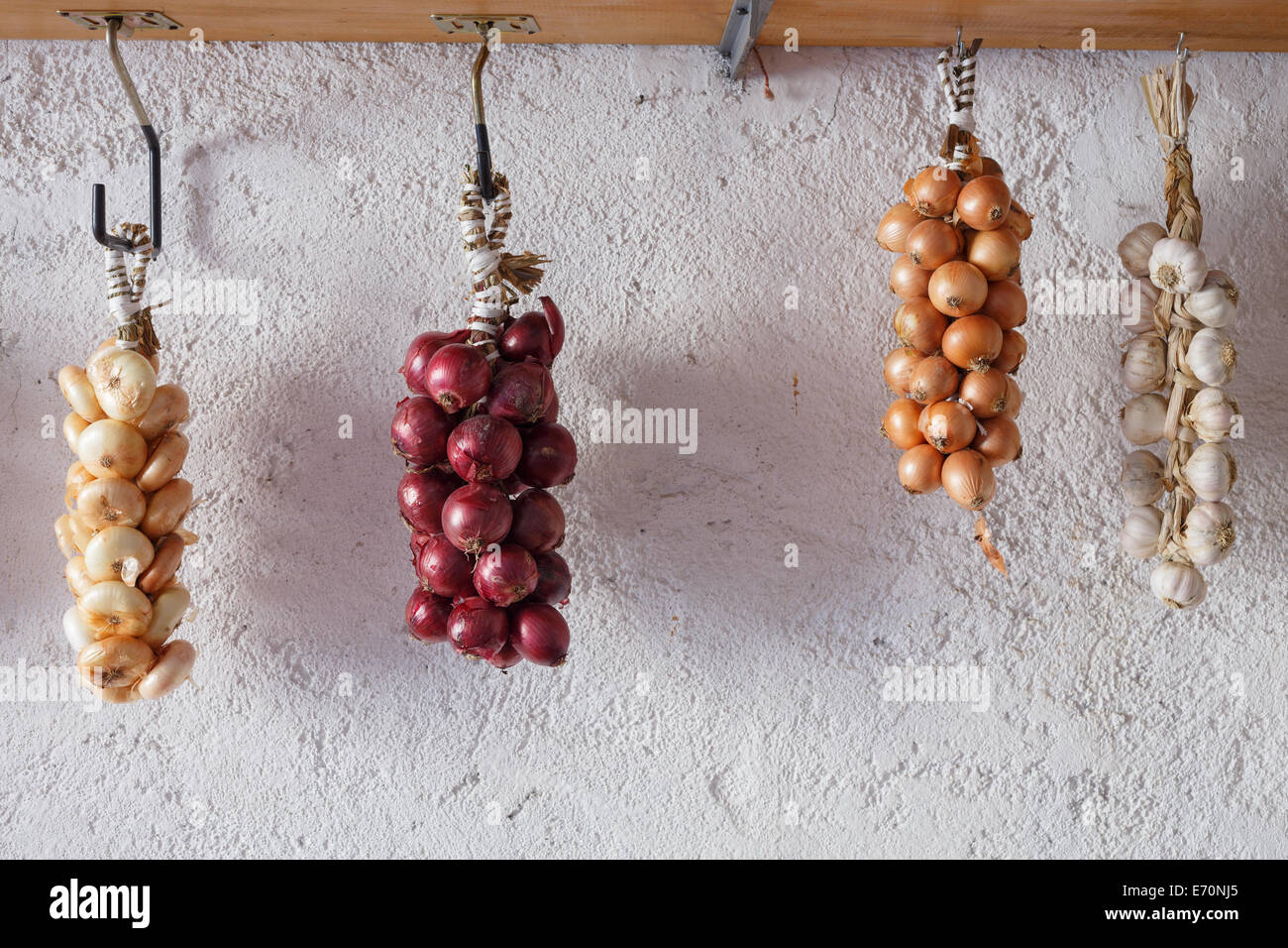 Cipolle di Cannara, regione Umbria, Italia Foto Stock