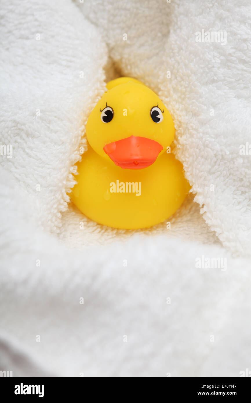 Rubber Duck dopo il bagno avvolto in un bianco asciugamano morbido. Primo piano. Foto Stock