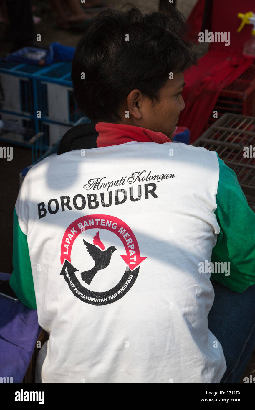 Borobudur, Java, Indonesia. T-shirt per un piccione Racing Club, un popolare sport su Java. Foto Stock