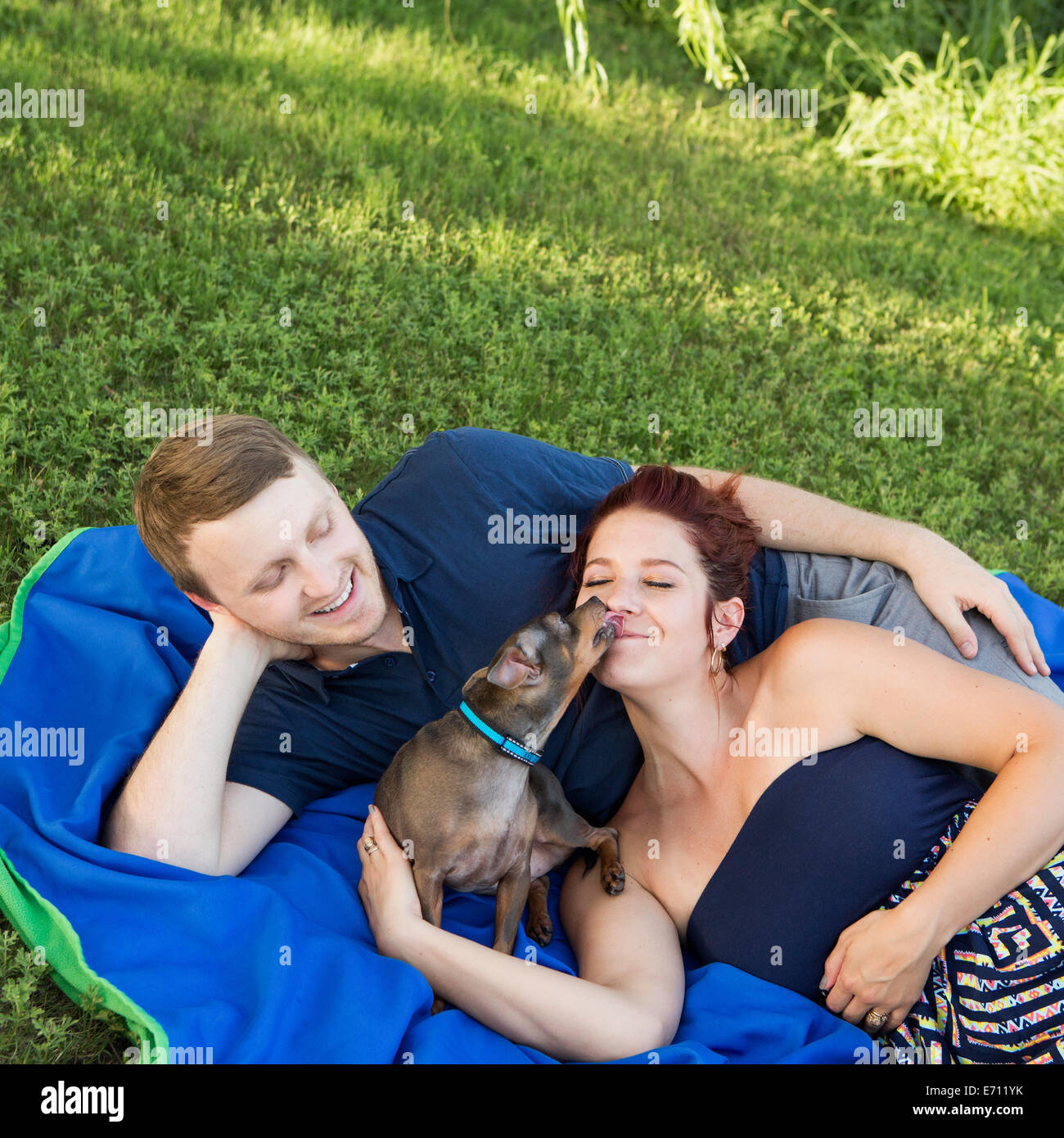 Un giovane seduto su un picnic rug. Un piccolo cane che lambisce il volto di una donna. Foto Stock