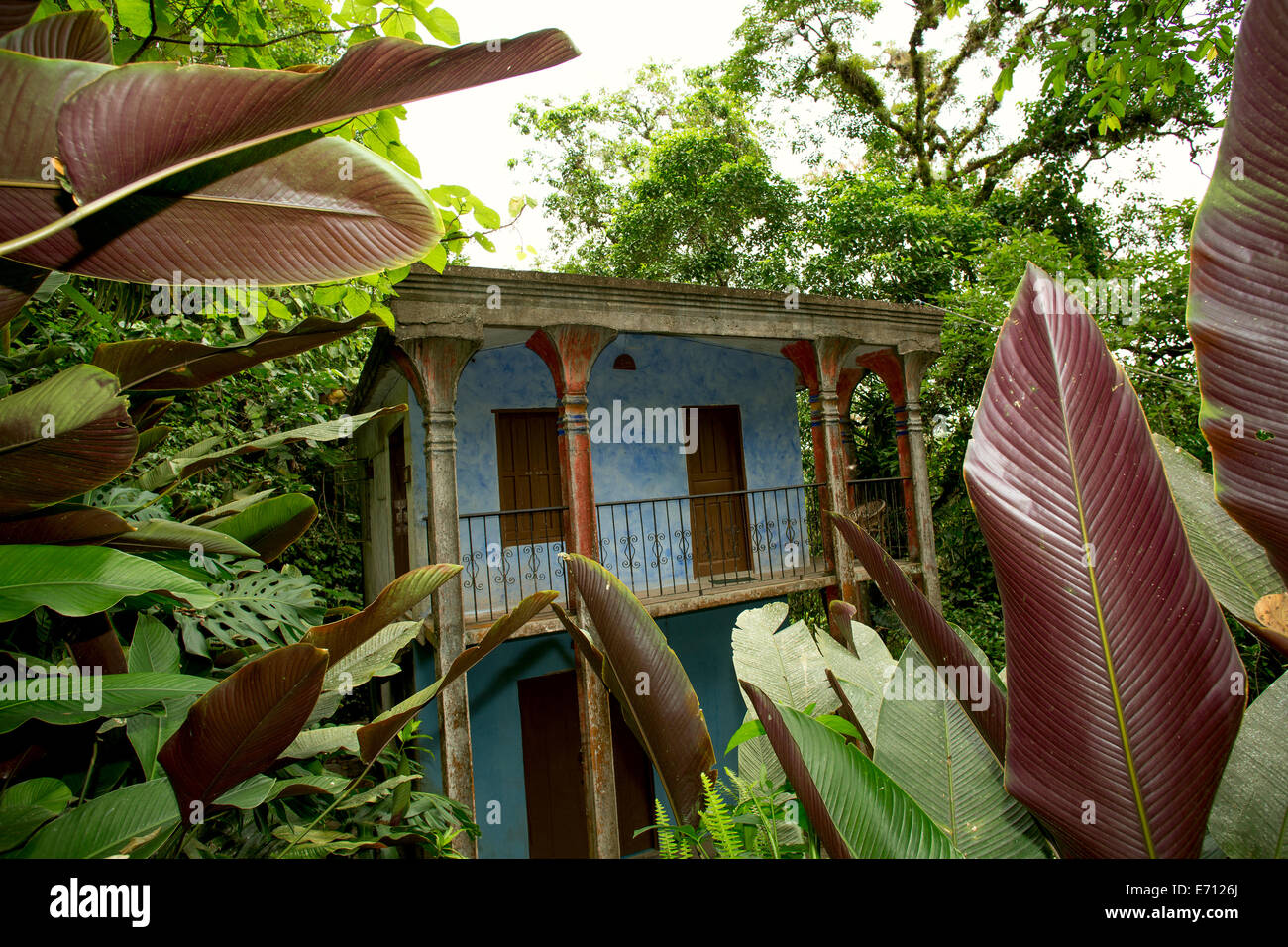 Blu casa abbandonata nella giungla tropicale Foto Stock