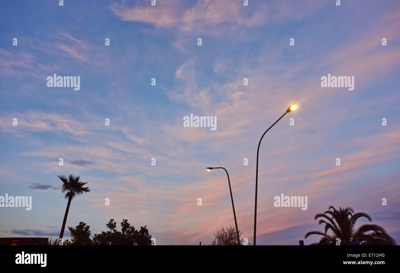 Le luci di strada e di palme al tramonto, Pescara, Abruzzo, Italia Foto Stock