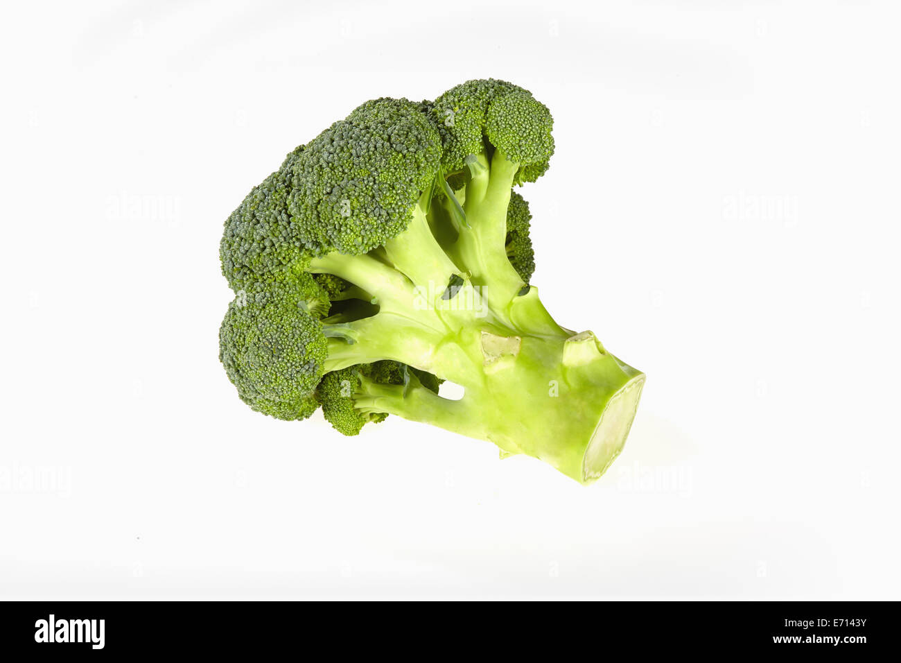 Broccoli, Brassica oleracea var. italica Plenck, su sfondo bianco Foto Stock