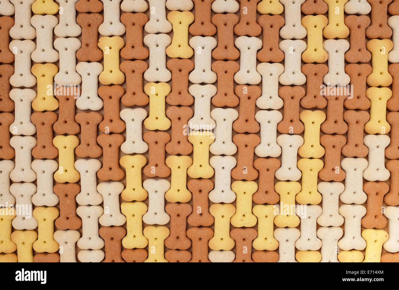 Marrone, giallo e bianco biscotti del cane come un astratto a mosaico texture di sfondo Foto Stock