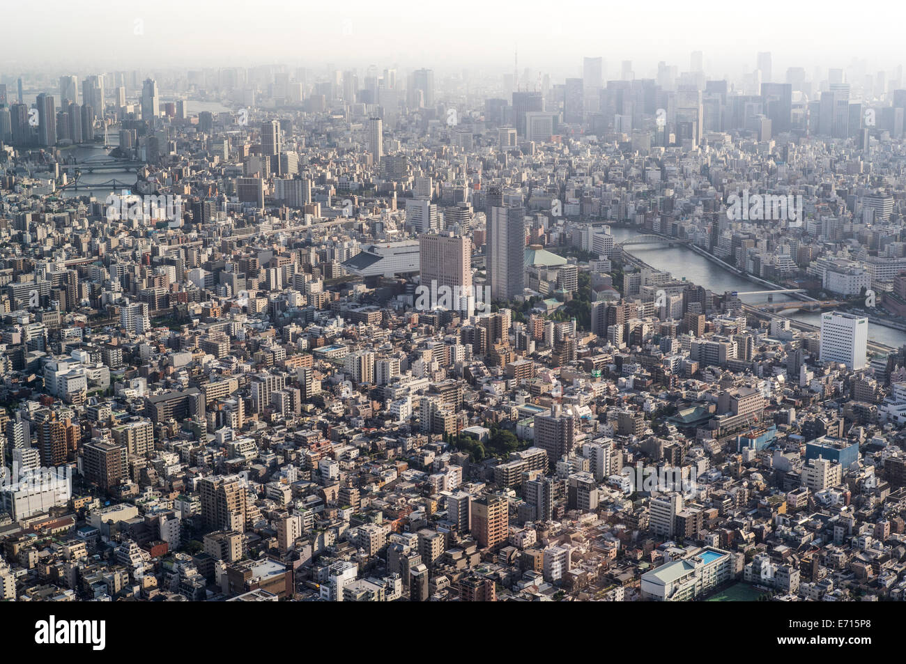 Giappone, Tokyo, vista in direzione di Asakusa e fiume Sumida Foto Stock