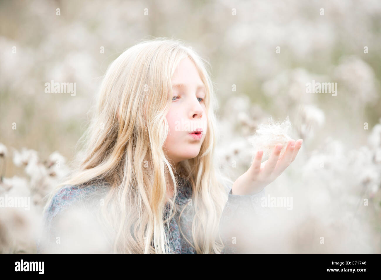 Ritratto di ragazza in piedi in un campo di semi di soffiaggio fuori la sua mano Foto Stock
