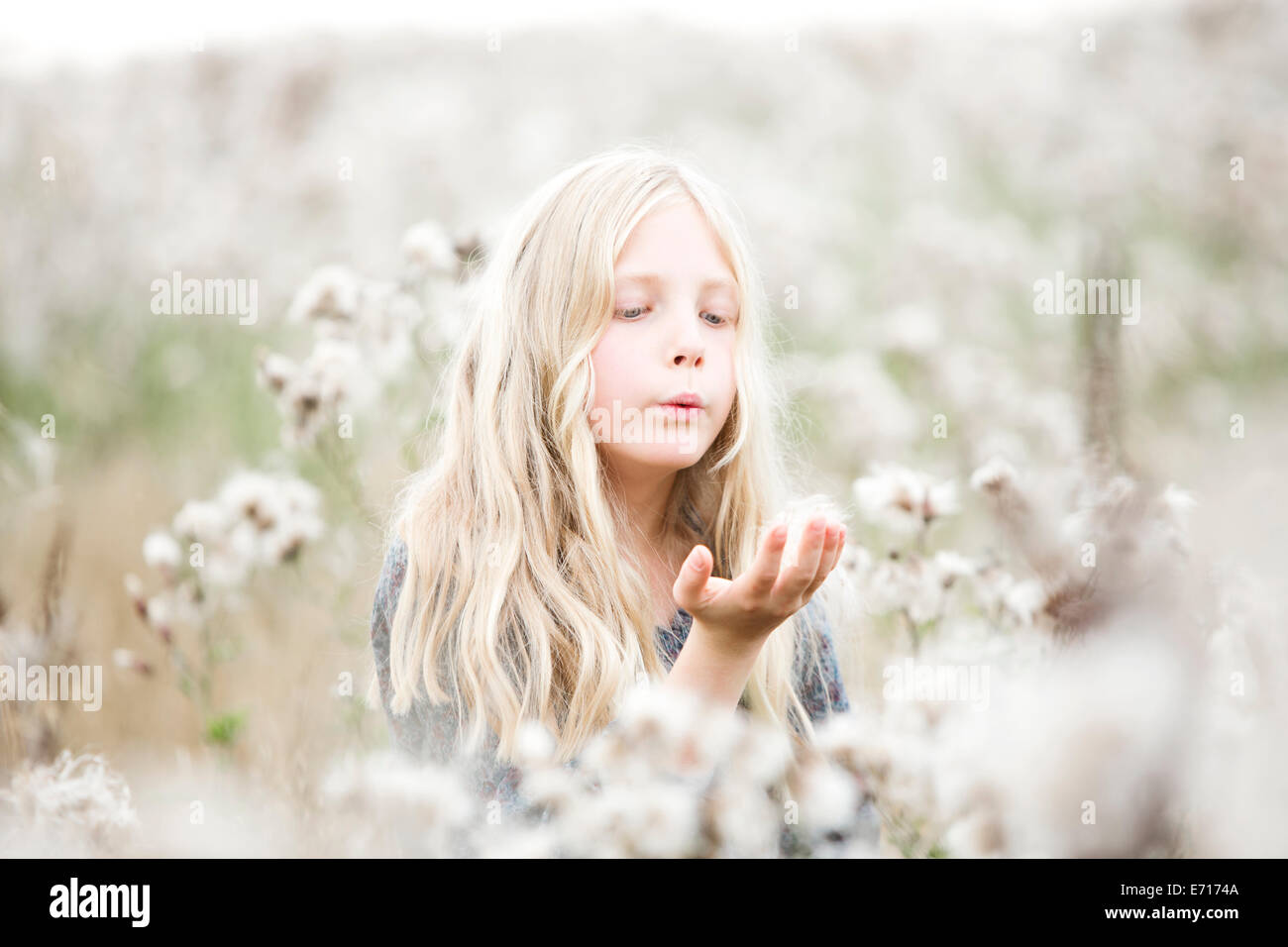 Ritratto di ragazza in piedi in un campo di semi di soffiaggio fuori la sua mano Foto Stock