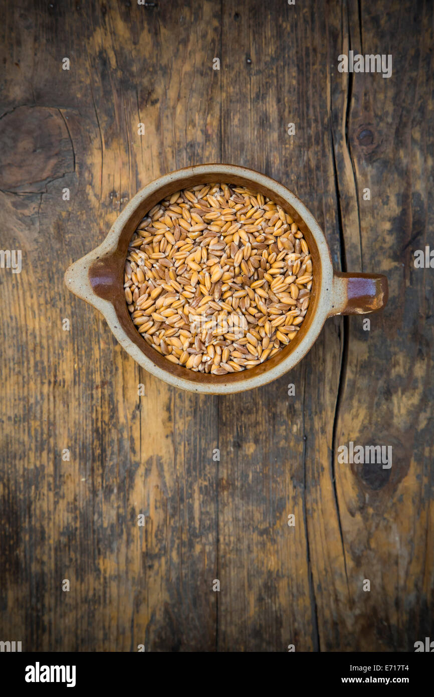 Il farro , triticum dicoccum, in una giara Foto Stock