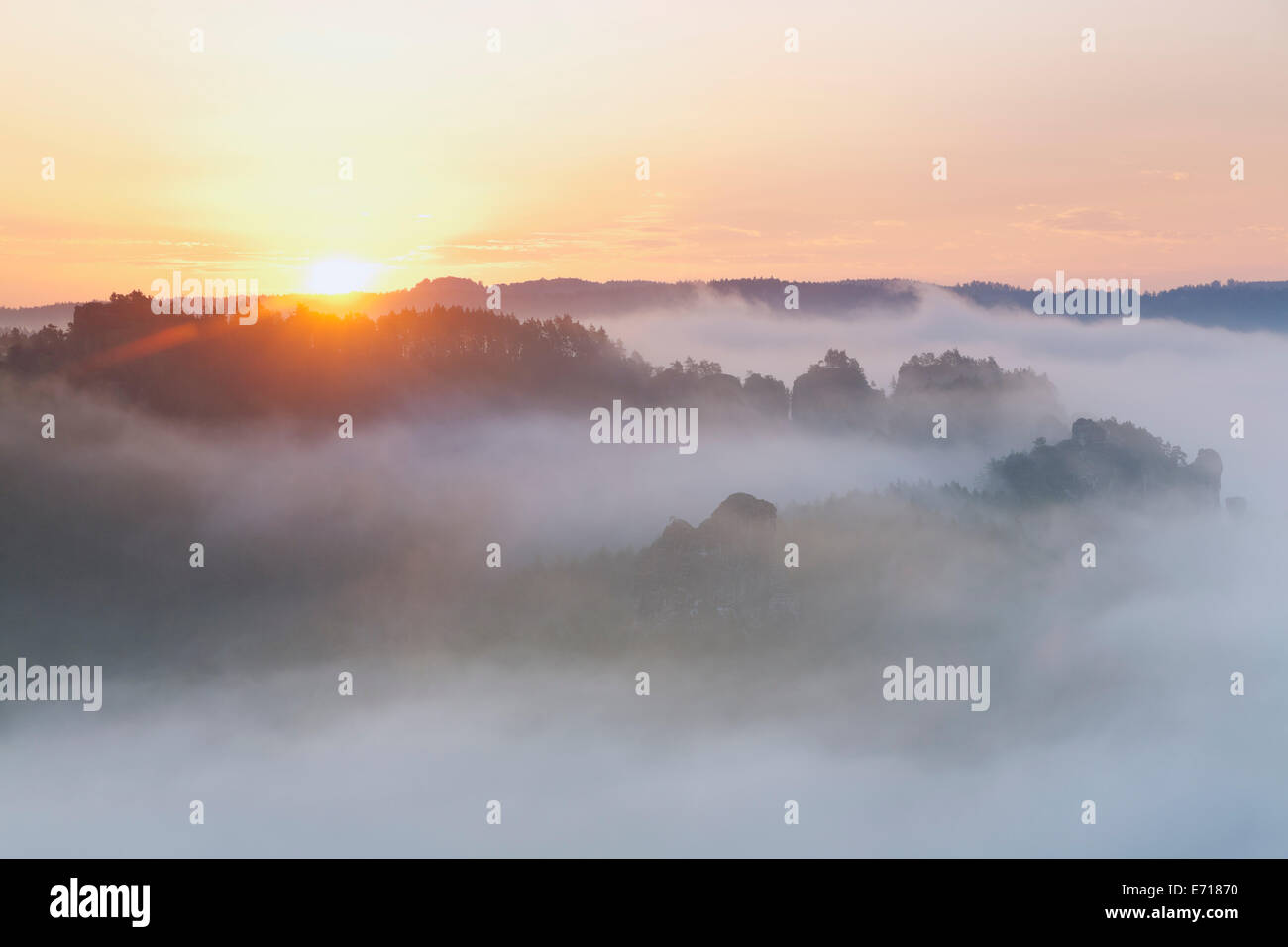 In Germania, in Sassonia, nebbia di mattina a Elba montagne di arenaria Foto Stock