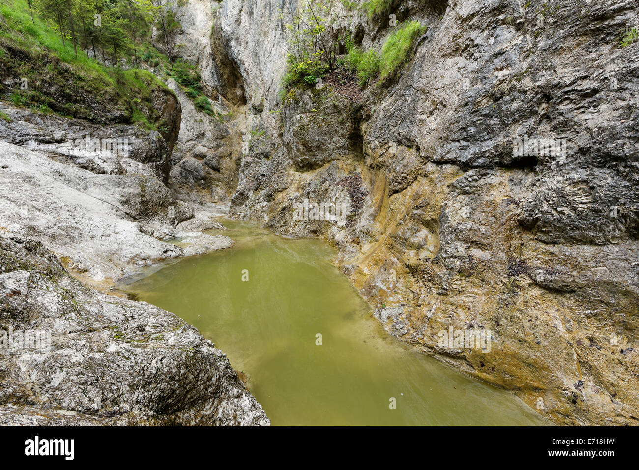 Salisburgo, Austria Membro, Flachgau, Strubklamm vicino a Faistenau Foto Stock