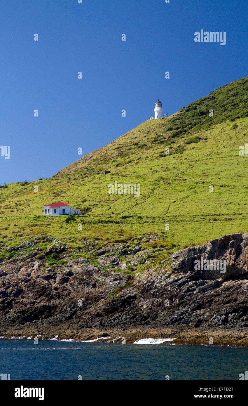 Cape Brett Faro di Cape Brett nella regione di Northland, Isola del nord, Nuova Zelanda. Foto Stock