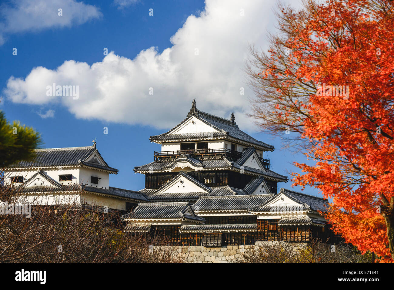 Il Castello di Matsuyama e in Matsuyama, Giappone. Foto Stock