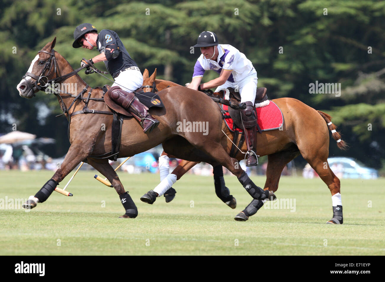 Il principe William, il Duca di Cambridge gioca in una carità polo torneo a Cirencester Polo Club, Cirencester. Foto Stock