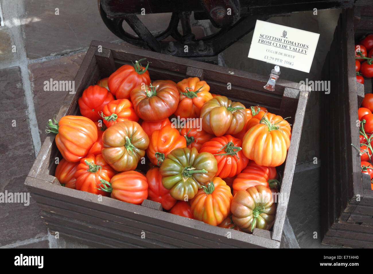 "Coeur de boeuf" varietà dei pomodori per la vendita a uno specialista il negozio di alimentari in Perthshire Scozia Scotland Foto Stock